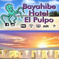 EL PULPO
